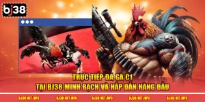 Trực tiếp đá gà c1